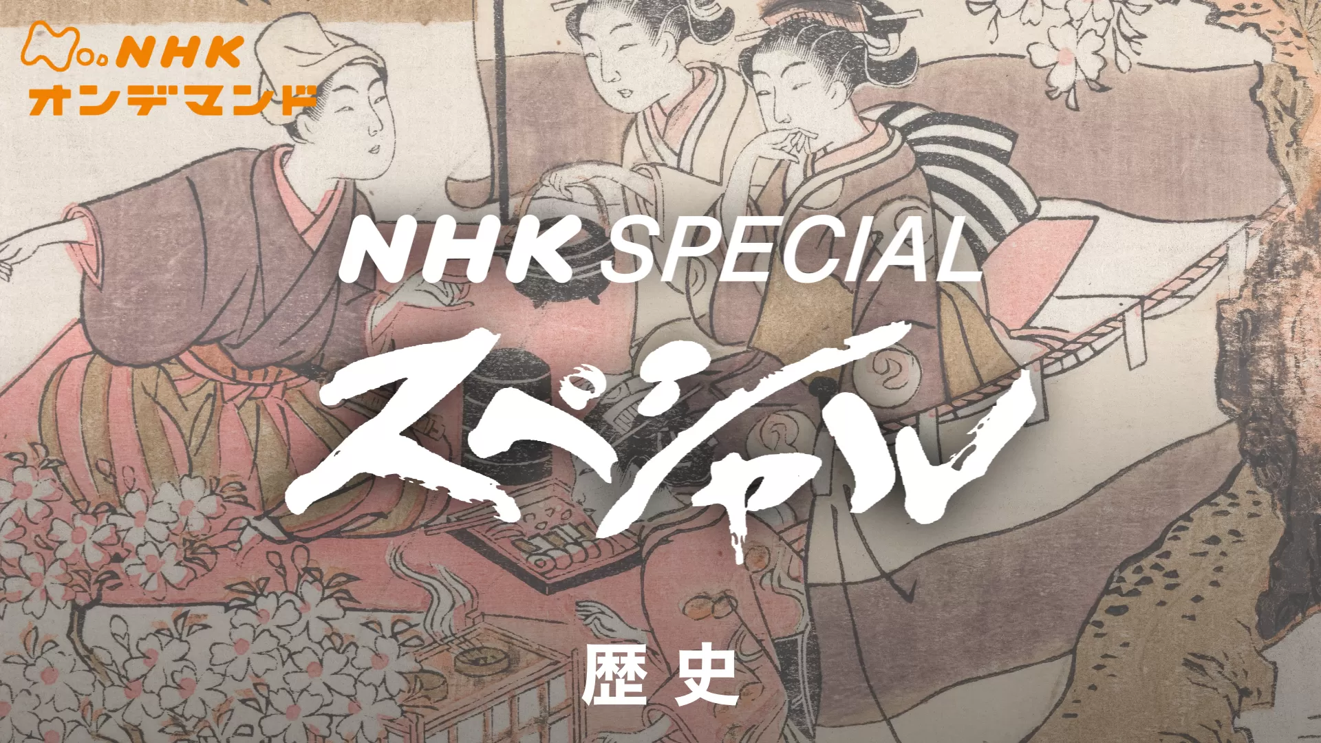 Nスペ　歴史