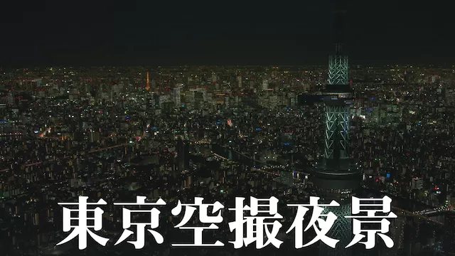 東京空撮夜景