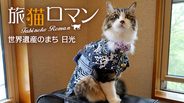 世界遺産のまち　日光  【旅猫ロマン】