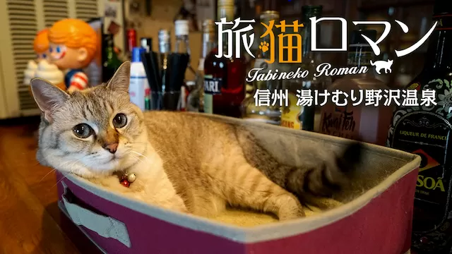 信州 湯けむり野沢温泉 【旅猫ロマン】