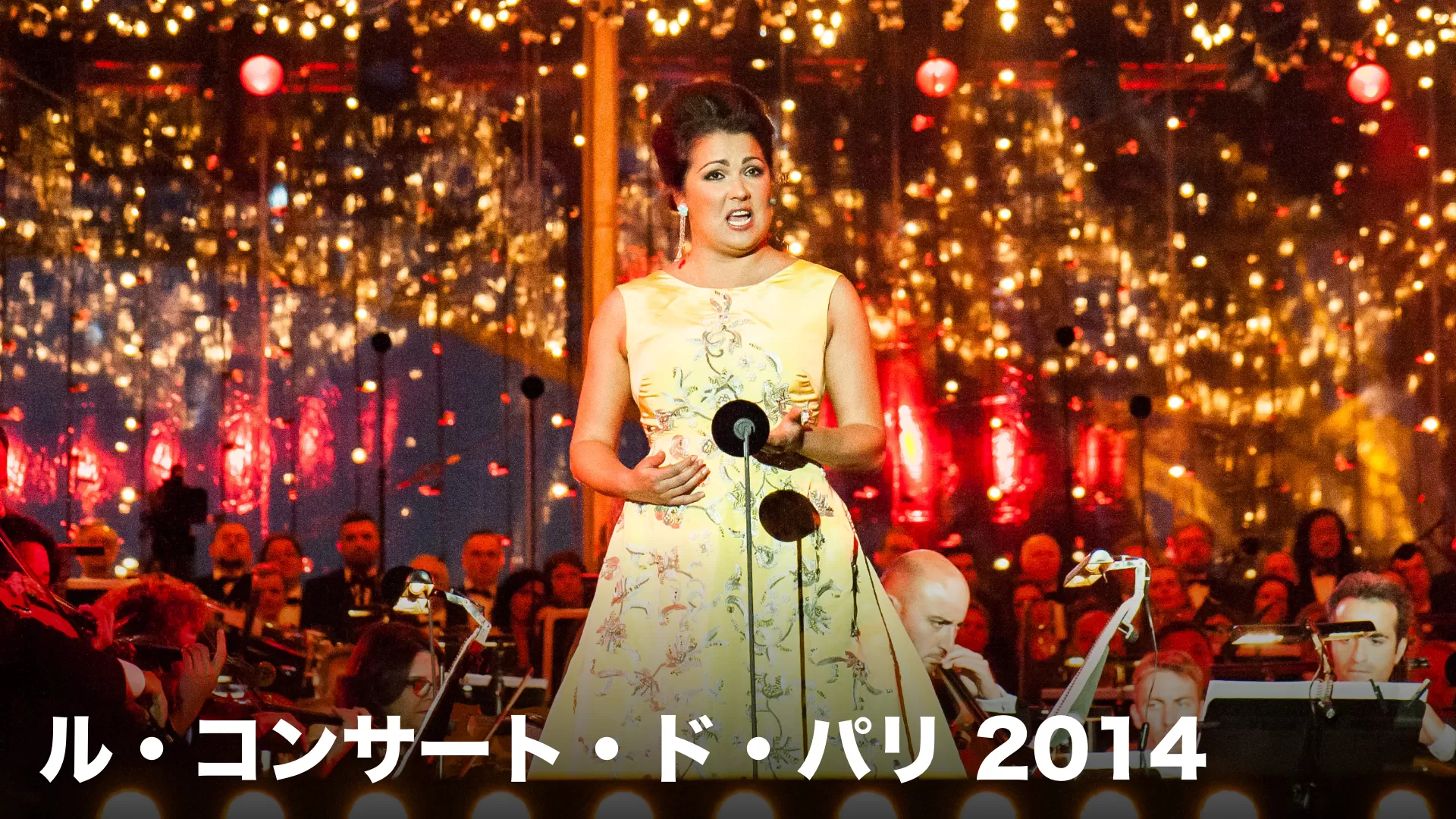 ル・コンサート・ド・パリ 2014